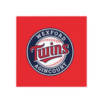Wexford Twins Baseball Square Magnet - Perfect for Sports Fans & Decor