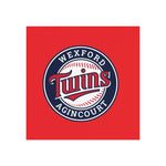 Wexford Twins Baseball Square Magnet - Perfect for Sports Fans & Decor