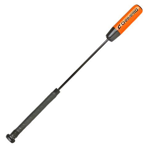 Champro Hot Spot Training Bat